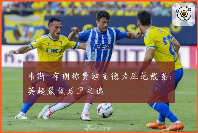 韦斯-布朗称费迪南德力压范戴克，英超最佳后卫之选