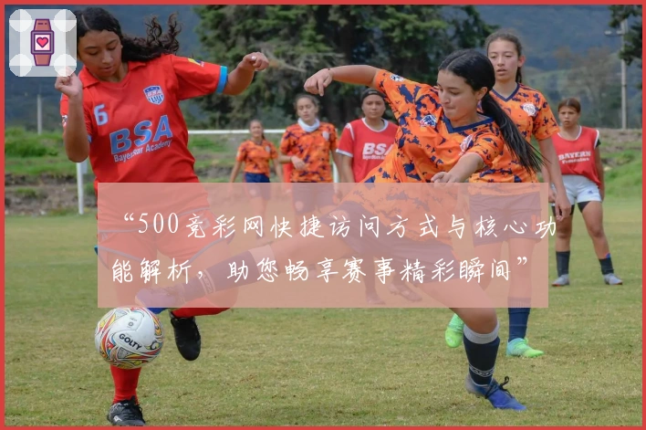 “500竞彩网快捷访问方式与核心功能解析,助您畅享赛事精彩瞬间”