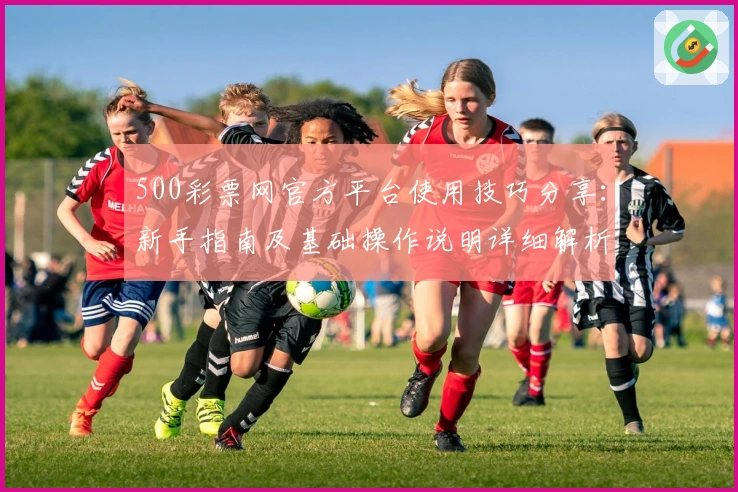 500彩票网官方平台使用技巧分享：新手指南及基础操作说明详细解析
